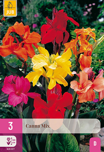 X 3 CANNA MIX