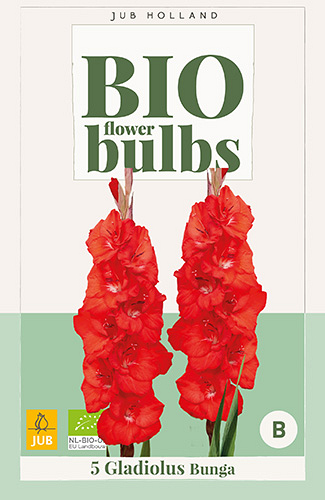 X 5 BIO GLADIOLUS BUNGA