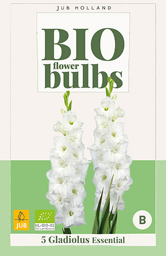 X 5 BIO GLADIOLUS ESSENTIAL