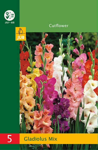 X   5 GLADIOLUS MIX