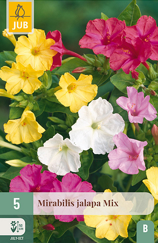 X   5 MIRABILIS JALAPA MIX