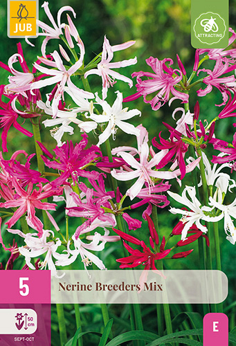 X 5 NERINE BREEDERS MIX