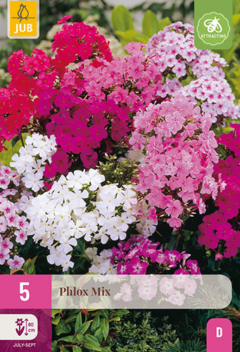 X 5 PHLOX MIX