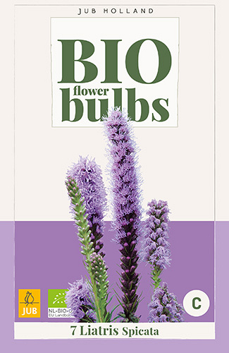 X 7 BIO LIATRIS SPICATA