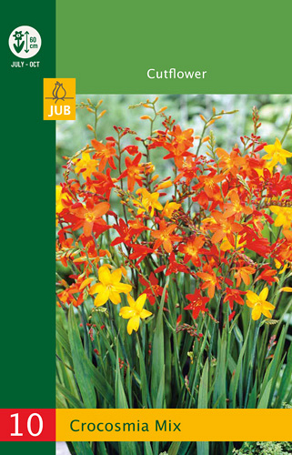 X 10 CROCOSMIA MIX