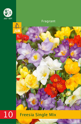 X 10 FREESIA SINGLE MIX