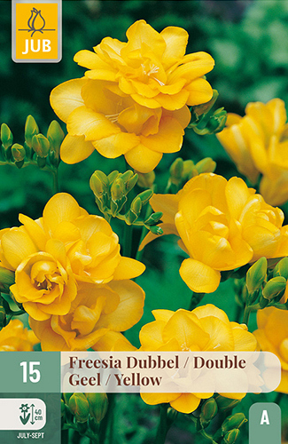 X 15 FREESIA DUBBEL GEEL