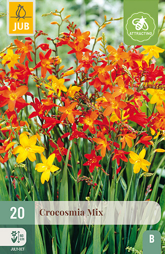X 20 CROCOSMIA MIX