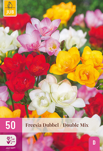 X 50 FREESIA DUBBEL MIX