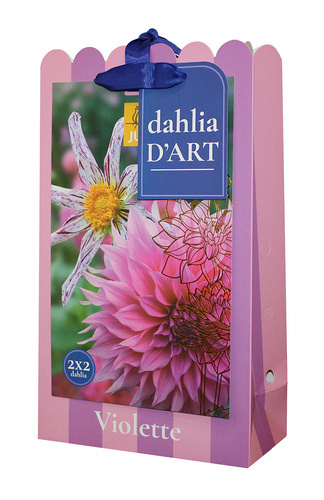 X 1 TAS DAHLIA D'ART 4 DAHLIA VIOLETTE