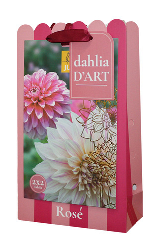 X 1 TAS DAHLIA D'ART 4 DAHLIA ROSE