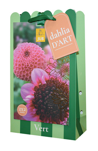 X 1 TAS DAHLIA D'ART 4 DAHLIA VERT