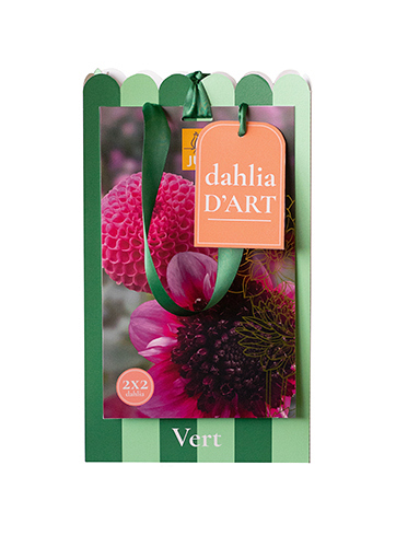 X 1 TAS DAHLIA D'ART 4 DAHLIA VERT