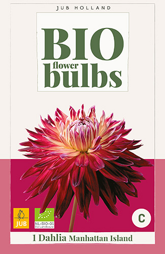 X 1 BIO DAHLIA MANHATTAN ISLAND