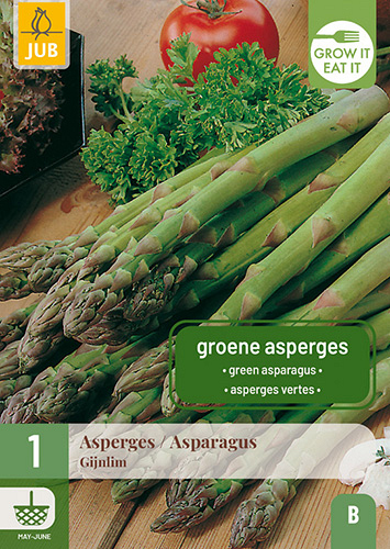 X 1 ASPARAGUS / ASPERGES GIJNLIM