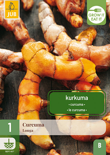 X 1 CURCUMA LONGA