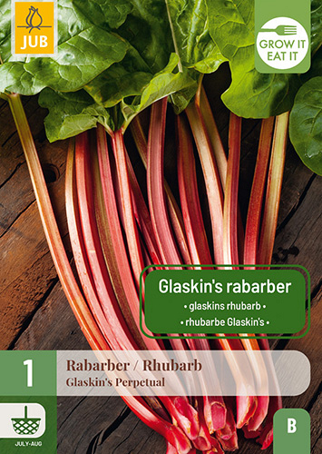 X 1 RHEUM / RABARBER GLASKINS PERPETUAL