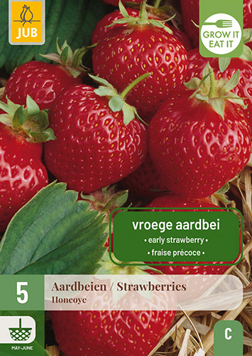 X 5 FRAGARIA / AARDBEIEN HONEOYE