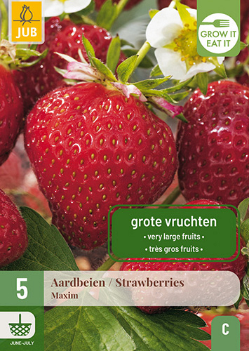 X 5 FRAGARIA / AARDBEIEN MAXIM