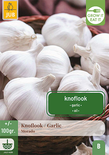 X 100 gr. KNOFLOOK MORADO