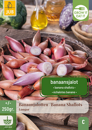 X 250 gr. SJALOTTEN LONGOR