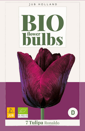 X   7 TULIPA RONALDO - BIO