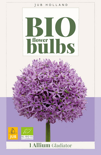 X   1 ALLIUM GLADIATOR - BIO