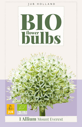 X   1 ALLIUM MOUNT EVEREST - BIO