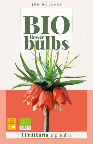 X   1 FRITILLARIA IMPERIALIS RUBRA - BIO