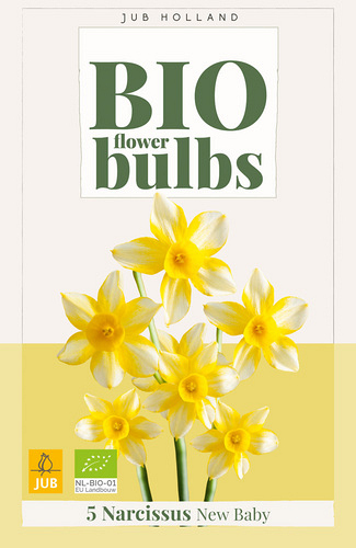X   5 NARCISSUS NEW BABY - BIO