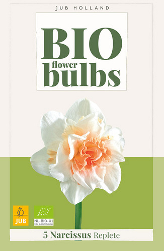 X   5 NARCISSUS REPLETE - BIO