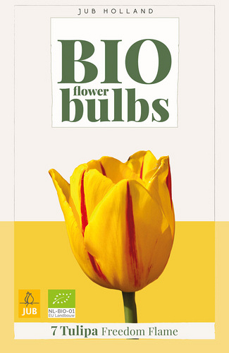 X   7 TULIPA FREEDOM FLAME - BIO