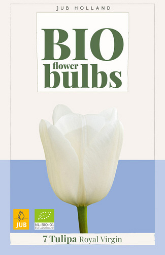 X   7 TULIPA ROYAL VIRGIN - BIO
