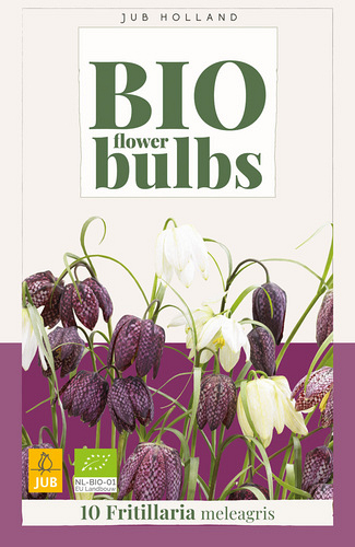 X 10 FRITILLARIA MELEAGRIS - BIO