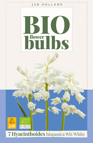 X   7 HYACINTHOIDES HISPANICA WIT - BIO