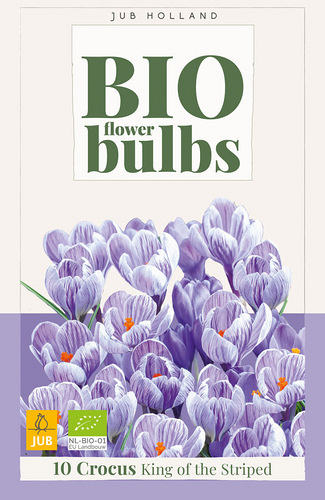 X 10 CROCUS KING OF THE STRIPED - BIO