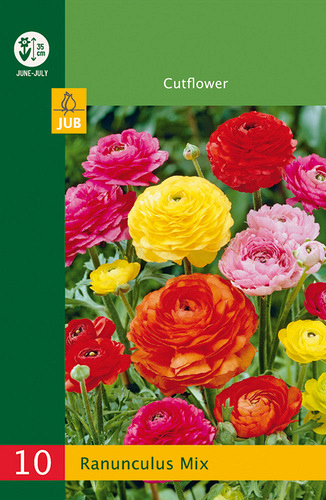 X 10 RANUNCULUS MIX NJ