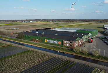 Go Solar!