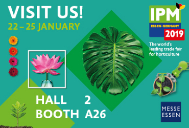 IPM Essen