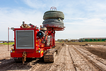 First bulb grower to use ironsand