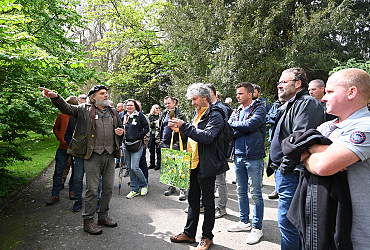 De Bonte Berm Roadshow in Aalst - Samen op weg naar biodivers groenbeheer 