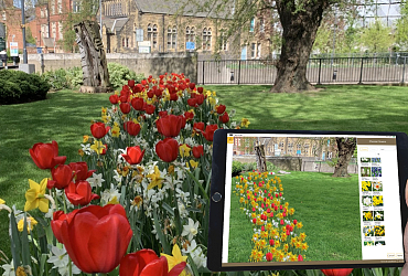 From Vision to Reality: University of Leeds brings spring to life with JUB Holland’s Flower Designer