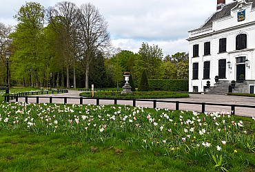  Bloembollen als verkeersmaatregel in historisch Park Velserbeek