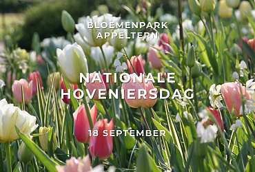 Bloembollen die uw werk versterken | JUB Holland op de Nationale Hoveniersdag
