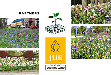 Partner van Stichting Steenbreek