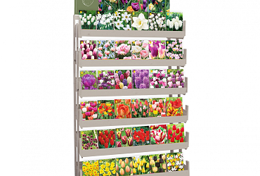 Cabinet displays