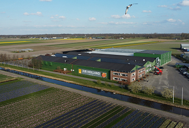 Go Solar!