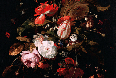 JUB Holland presents a new border in Keukenhof: ‘A Mysterious Dutch Still Life’