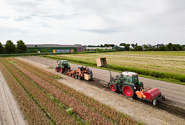 Mise à jour de la pépinière / de la récolte