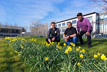 Bloembollen op bedrijventerreinen: vergroenen met visie